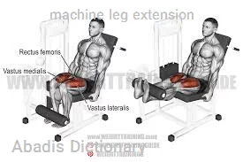 machine leg extension